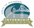 Business & Industry Partners | Sustainable Economy | Michigan STEM Partnership - Internship_Logo